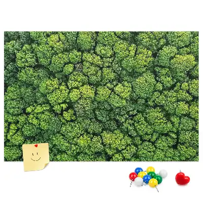 Panou din plută Pădure văzută de sus