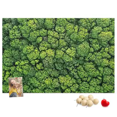 Panou plută Pădure văzută de sus