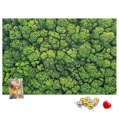 Panou plută Pădure văzută de sus
