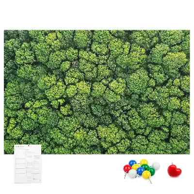 Panou plută Pădure văzută de sus