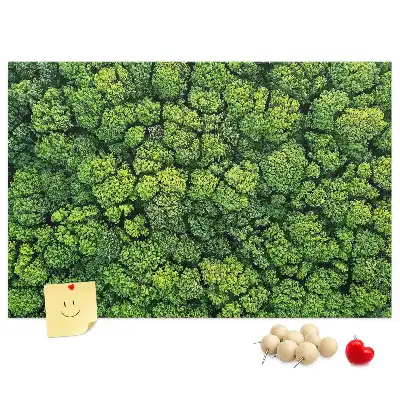 Panou plută Pădure văzută de sus