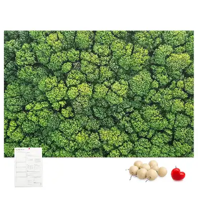 Panou plută Pădure văzută de sus