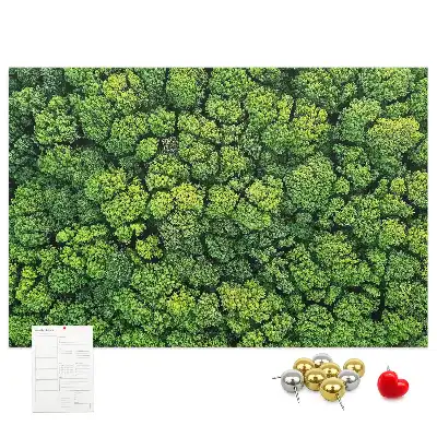 Panou plută Pădure văzută de sus