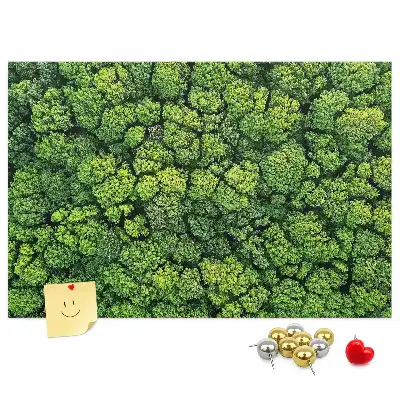 Panou plută Pădure văzută de sus