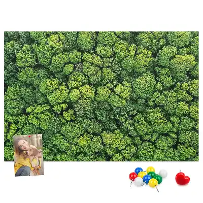 Panou plută Pădure văzută de sus