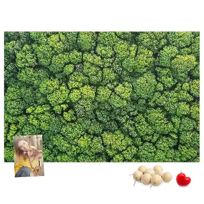 Panou plută Pădure văzută de sus