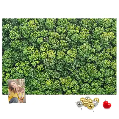 Panou plută Pădure văzută de sus