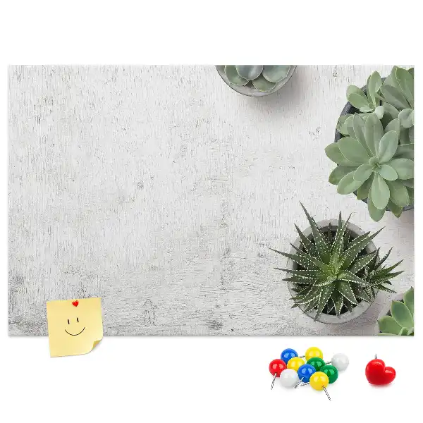 Tablă din plută pentru plante decorative