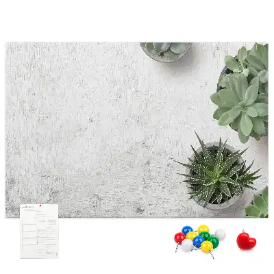 Tablă din plută pentru plante decorative