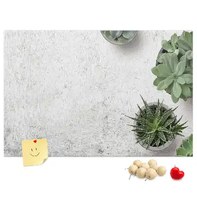 Tablă din plută pentru plante decorative