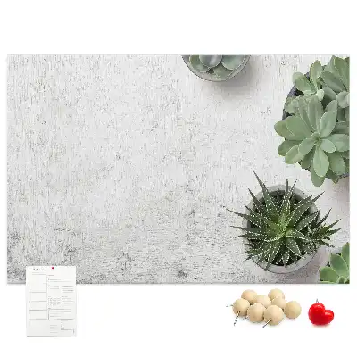 Tablă din plută pentru plante decorative