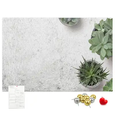 Tablă din plută pentru plante decorative