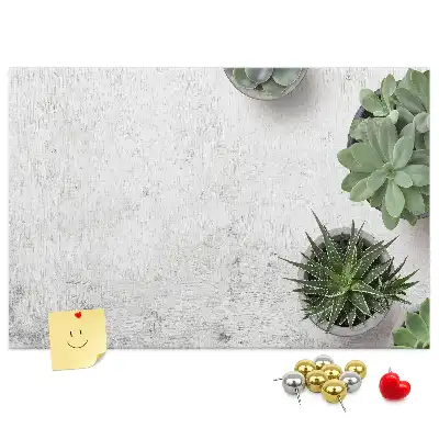 Tablă din plută pentru plante decorative