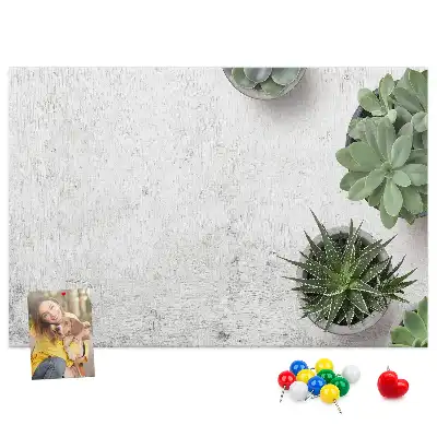 Tablă din plută pentru plante decorative