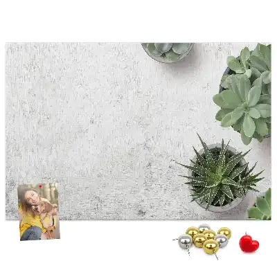 Tablă din plută pentru plante decorative