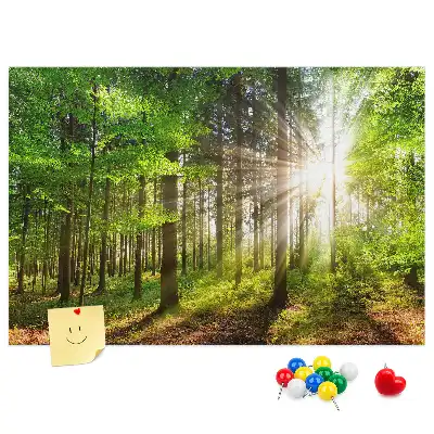 Tablou din plută Pădure la răsărit