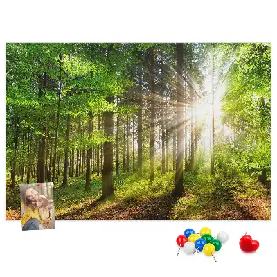 Tablou din plută Pădure la răsărit