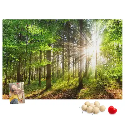 Tablou din plută Pădure la răsărit