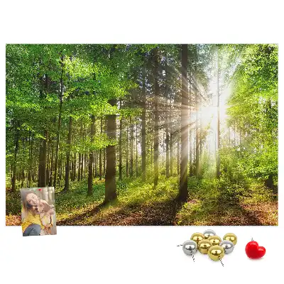Tablou din plută Pădure la răsărit