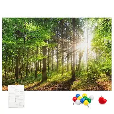 Tablou din plută Pădure la răsărit