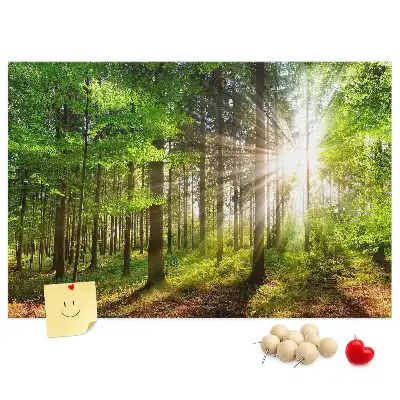 Tablou din plută Pădure la răsărit