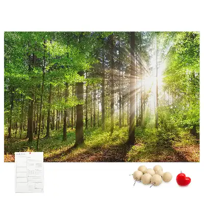 Tablou din plută Pădure la răsărit