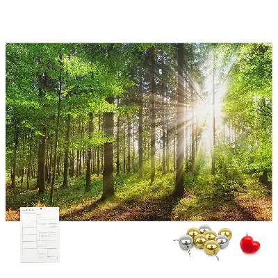 Tablou din plută Pădure la răsărit