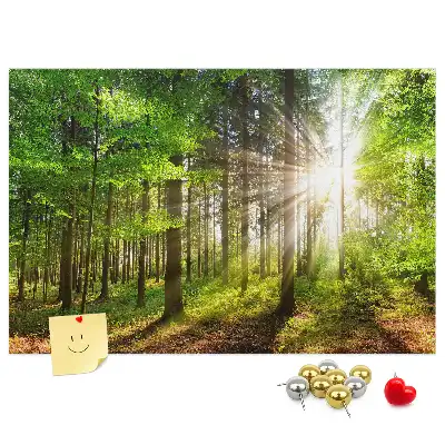 Tablou din plută Pădure la răsărit