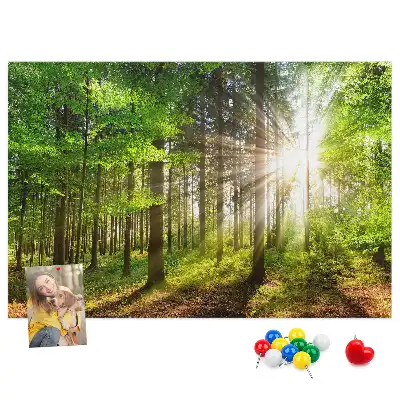 Tablou din plută Pădure la răsărit