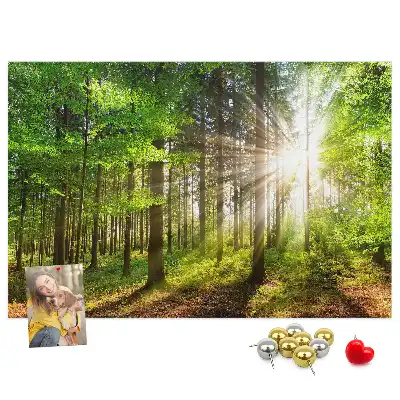 Tablou din plută Pădure la răsărit