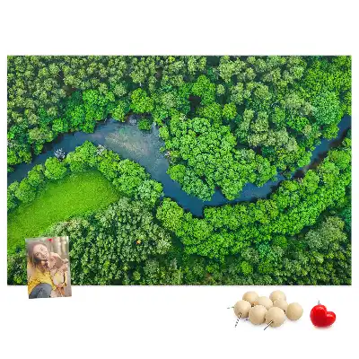 Tabla de pluta Râu în pădure