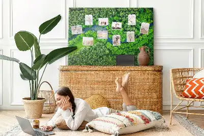 Tabla de pluta Râu în pădure