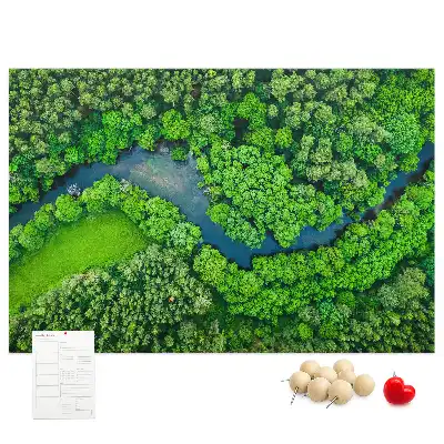 Tabla de pluta Râu în pădure