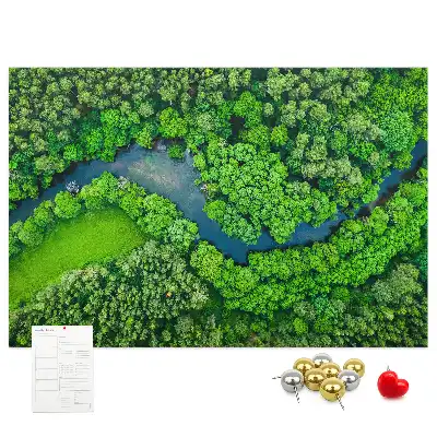 Tabla de pluta Râu în pădure