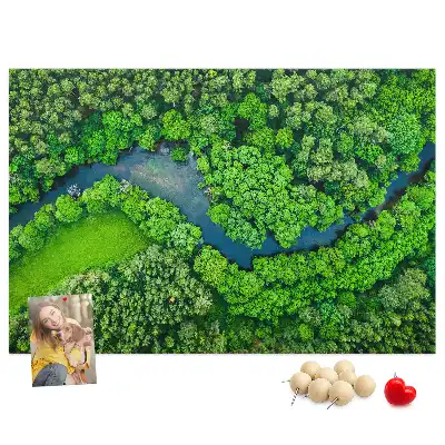 Tabla de pluta Râu în pădure