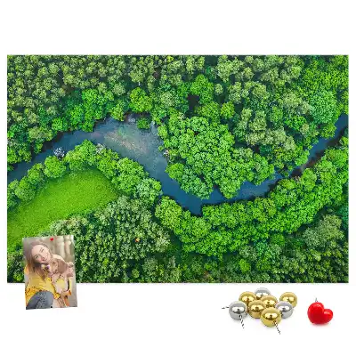 Tabla de pluta Râu în pădure