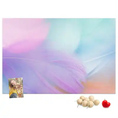 Tablă de plută cu pioneze colorate