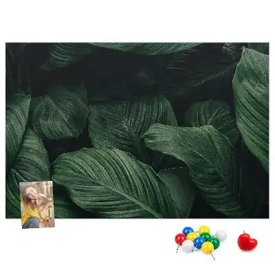 Panou din plută cu model de frunză tropicală Monstera