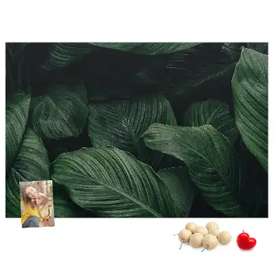 Panou din plută cu model de frunză tropicală Monstera