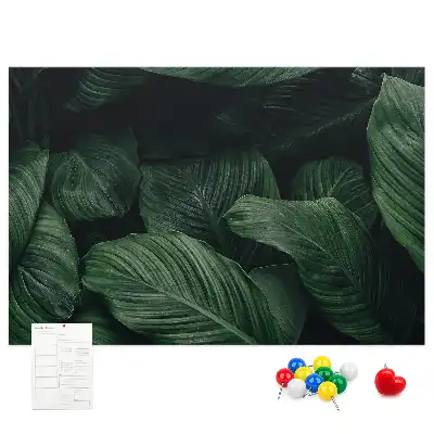 Panou din plută cu model de frunză tropicală Monstera