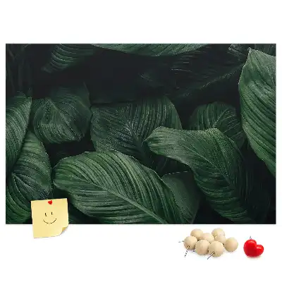 Panou din plută cu model de frunză tropicală Monstera