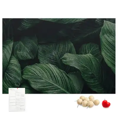 Panou din plută cu model de frunză tropicală Monstera