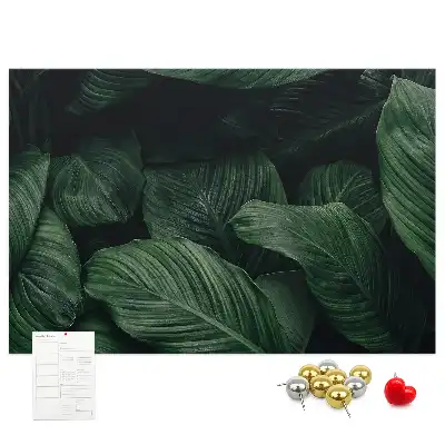 Panou din plută cu model de frunză tropicală Monstera