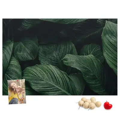 Panou din plută cu model de frunză tropicală Monstera