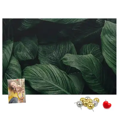 Panou din plută cu model de frunză tropicală Monstera