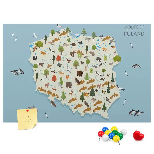 Panou de plută cu harta animalelor din Polonia