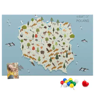 Panou de plută cu harta animalelor din Polonia