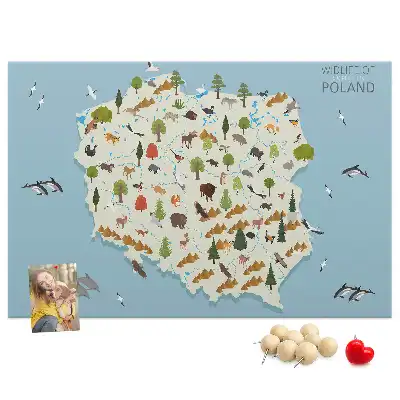 Panou de plută cu harta animalelor din Polonia