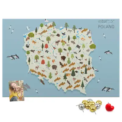 Panou de plută cu harta animalelor din Polonia