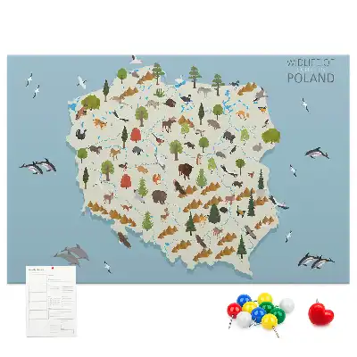 Panou de plută cu harta animalelor din Polonia